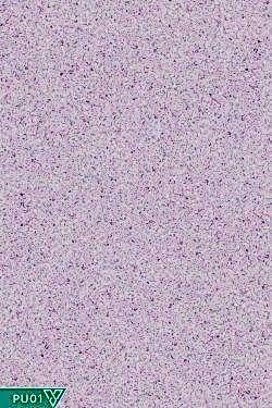 Ventrawall PU01 - Yalıtımlı Sürülen Lila Duvar Kağıdı