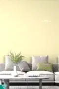 Ventrawall Y05 Yalıtımlı Sürülen Işıltılı Sarı Duvar Kağıdı